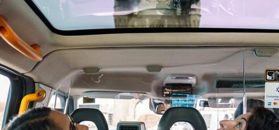 London Private Black Cab Sightseeing Tour-7