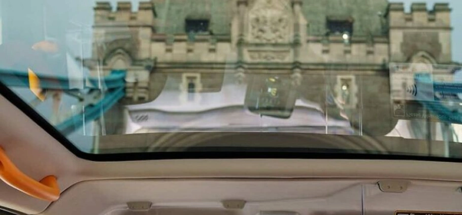 London Private Black Cab Sightseeing Tour-6