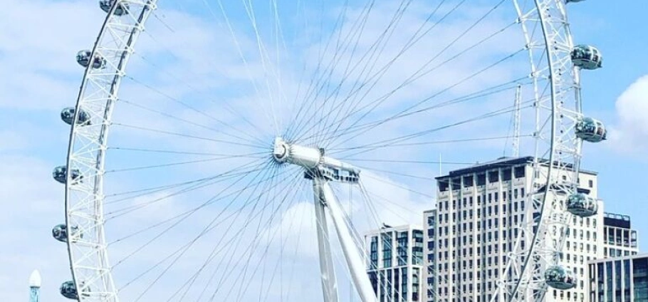 London Iconic Sights Panoramic Tour-11