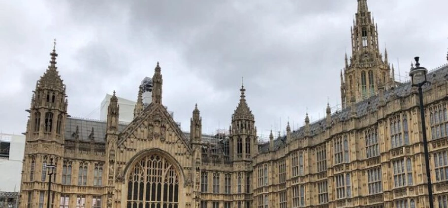 London Iconic Sights Panoramic Tour-5