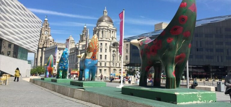 Liverpool Private Luxury Sightseeing Tour-5
