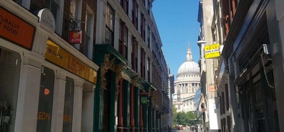 London Private Sightseeing and History Tour-9