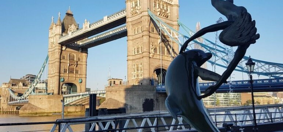 London Private Sightseeing and History Tour-14