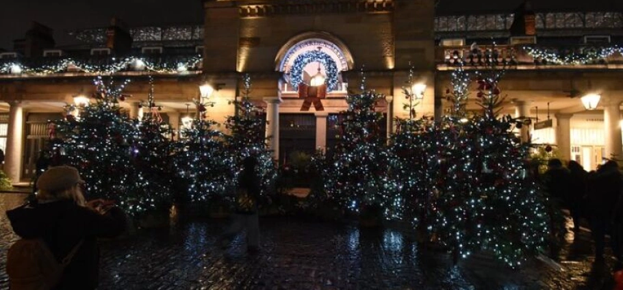 London Christmas Lights and Cab Tour-10