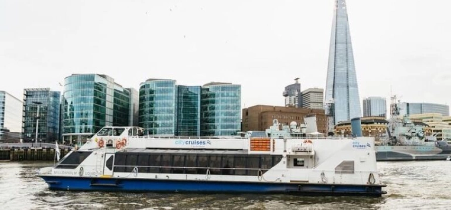London Hop-On Hop-Off Bus and Cruise-8