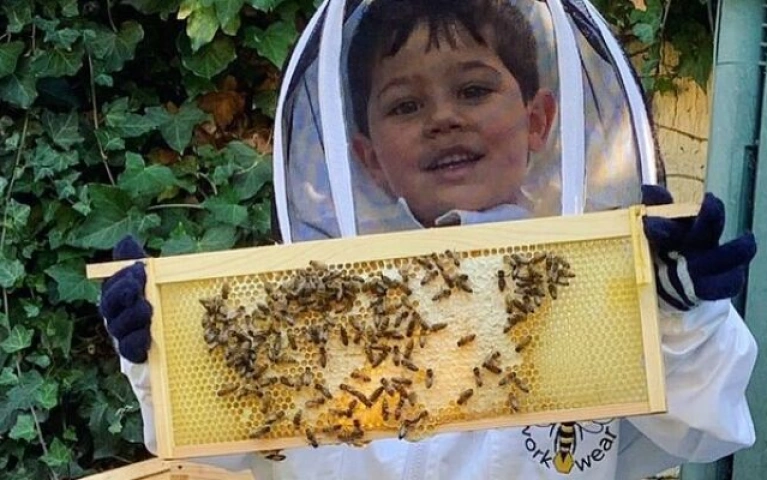 London Beekeeping and Honey Tasting Experience