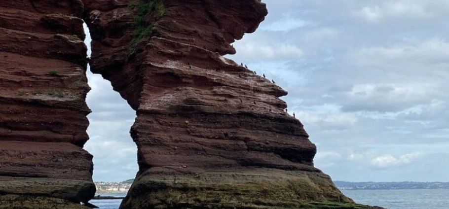 Babbacombe Bay VIP Boat Tour Experience-9