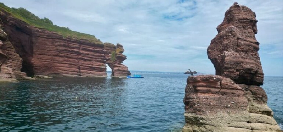 Babbacombe Bay VIP Boat Tour Experience-4