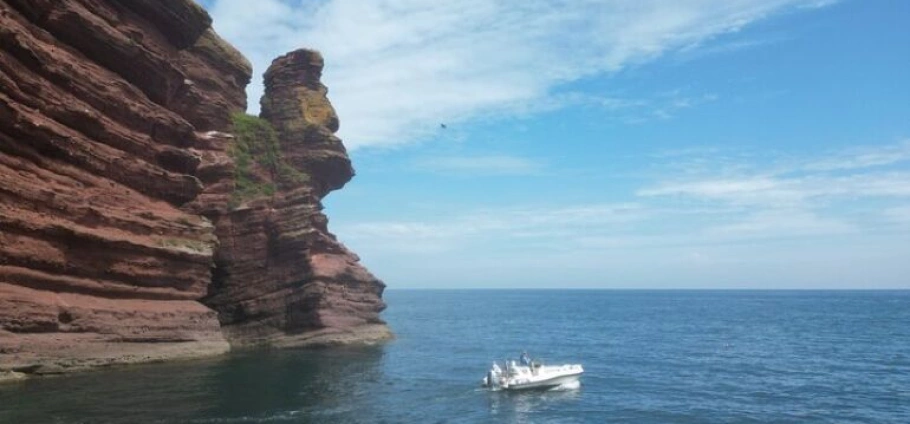 Babbacombe Bay VIP Boat Tour Experience-3