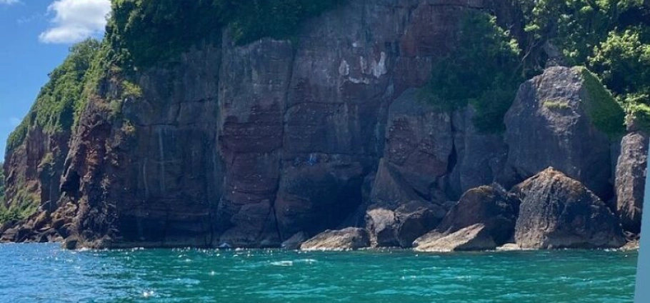 Babbacombe Bay VIP Boat Tour Experience-24