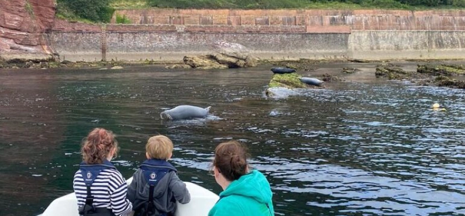 Babbacombe Bay VIP Boat Tour Experience-37