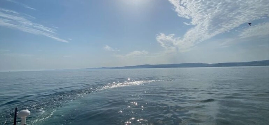 Exmouth Luxury RIB Cruise and Estuary Tour-4