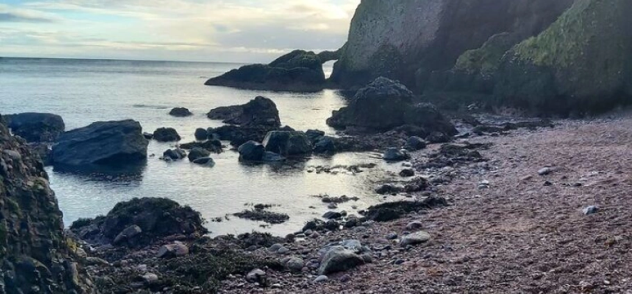 Northern Ireland Causeway Coast Adventure Tour-4