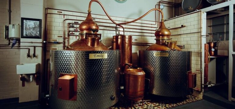 Edinburgh Gin Distillery Tour and Tasting-1
