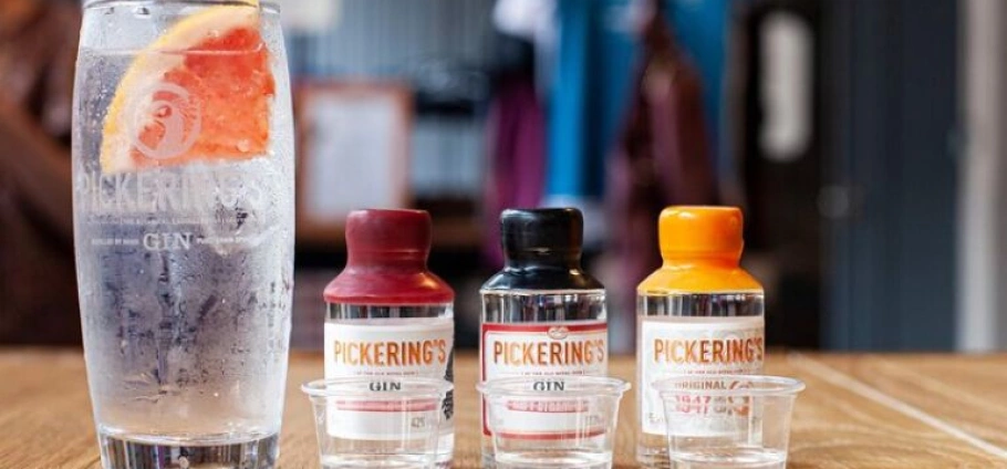 Edinburgh Gin Distillery Tour and Tasting-3