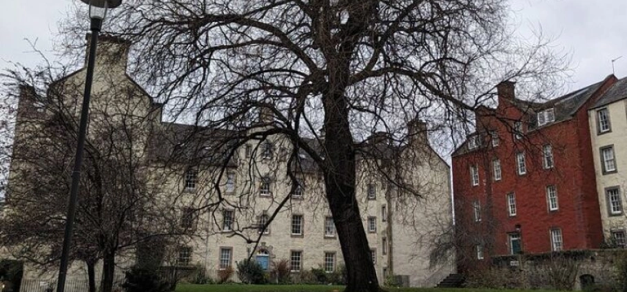 Edinburgh Canongate History Walking Tour-3