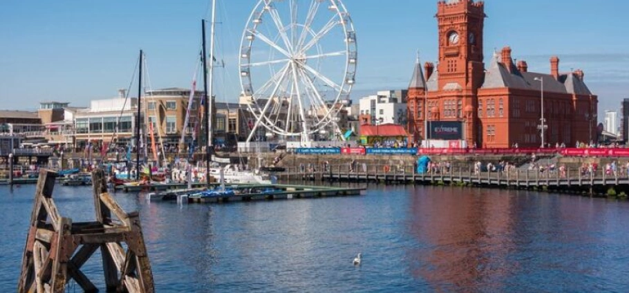 Cardiff City Sightseeing Open-Top Bus Tour-6