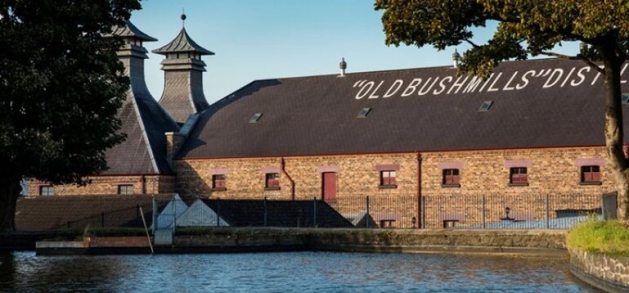Belfast Coastal Highlights and Scenic Tour-4