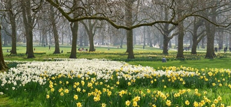 London Private Tour With Brazilian Guide-12