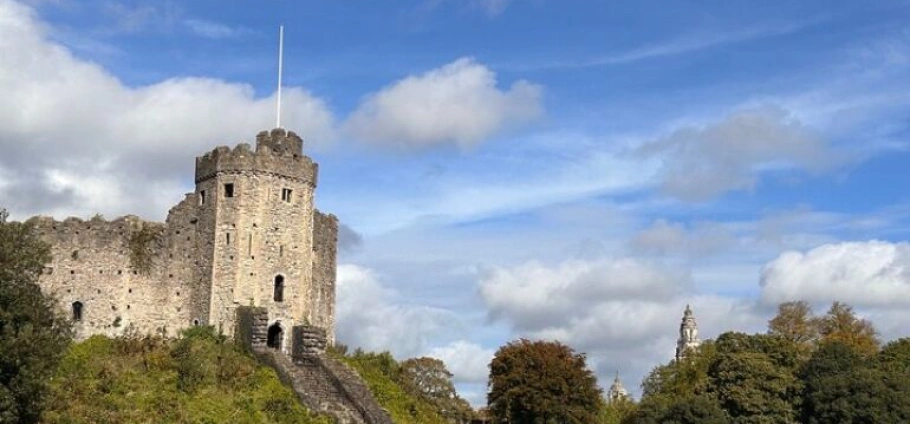 Cardiff Full-Day History and Culture Tour-3