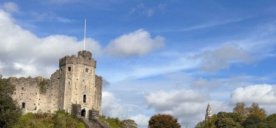 Cardiff Half-Day City Centre Tour-6