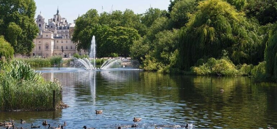 London Historic Highlights and Hidden Gems Tour-6