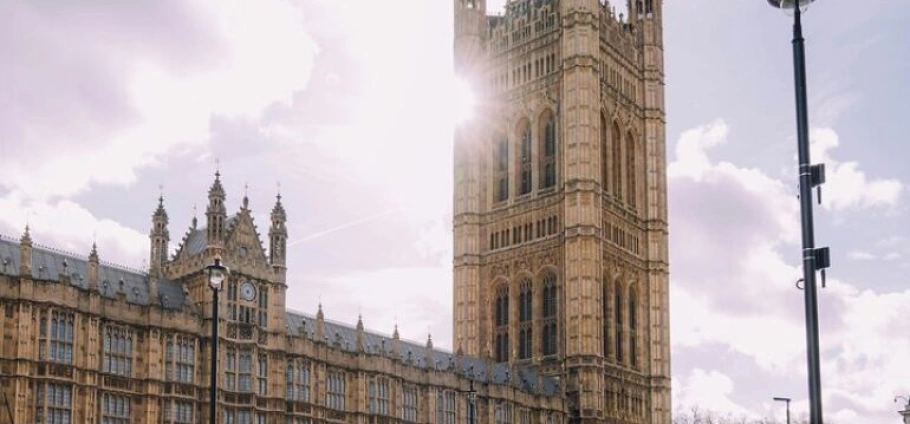 London Premium Blue Badge Guided Tour-10