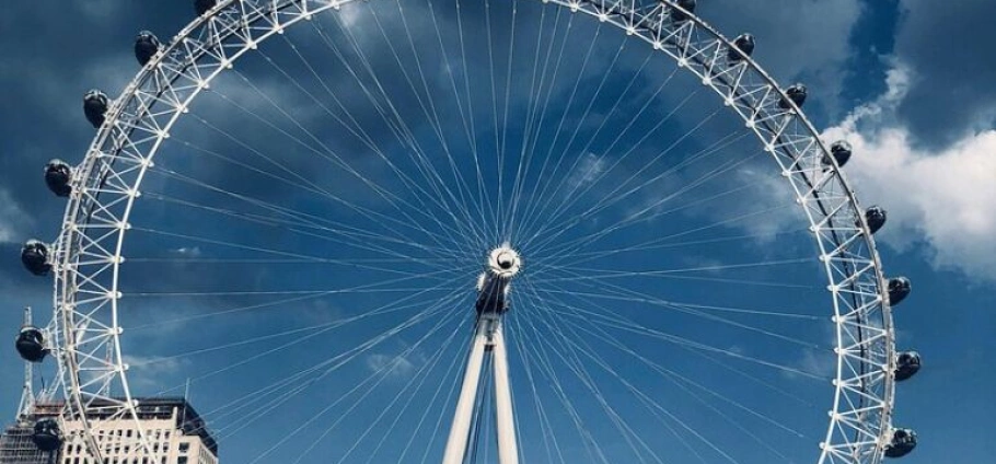 London Premium Blue Badge Guided Tour-8