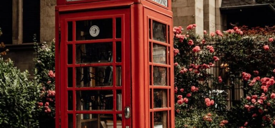 London Private Luxury Tour and Afternoon Tea-3