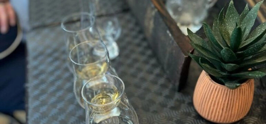 Edinburgh Walking Tour and Whisky Tasting-11