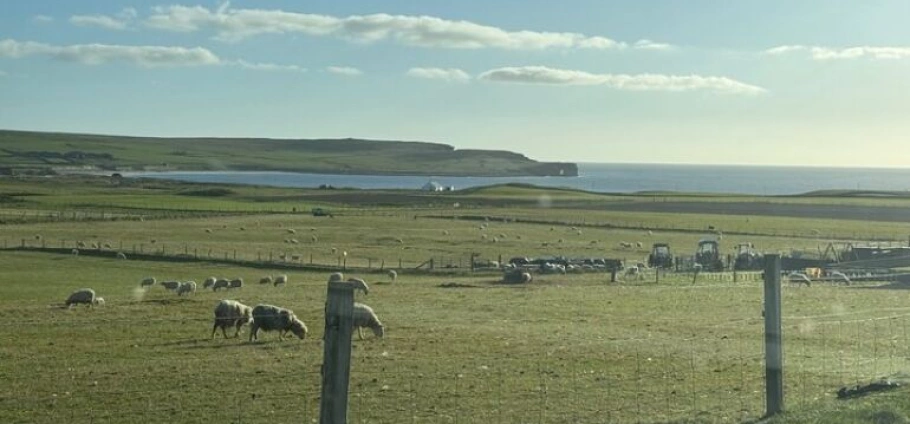 Orkney Private Guided History Tour-2