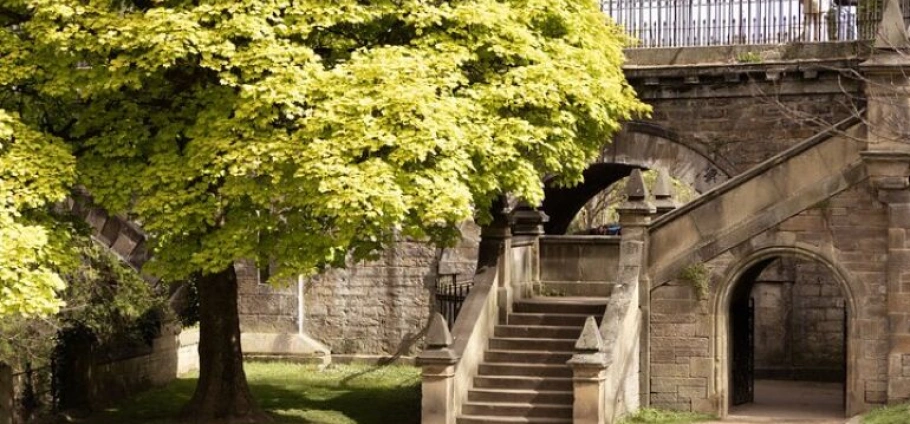 Edinburgh Magical Photo Session Experience-4