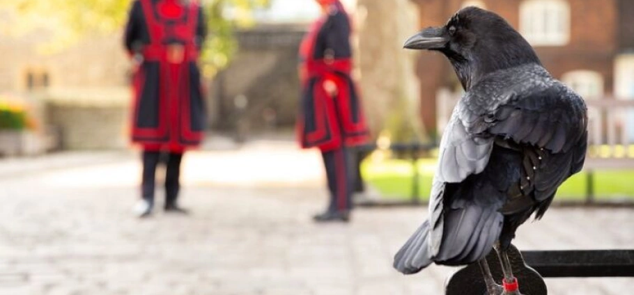 London Beefeater Meet-and-Greet Experience-10