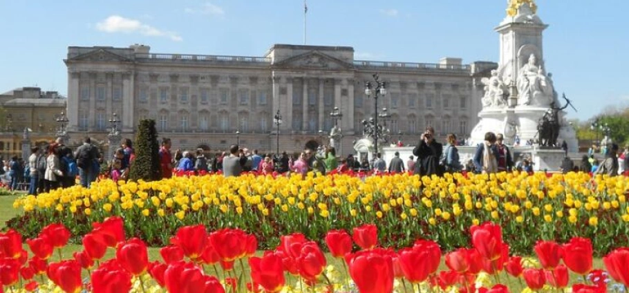 London Buckingham Palace and Guard Ceremony-4