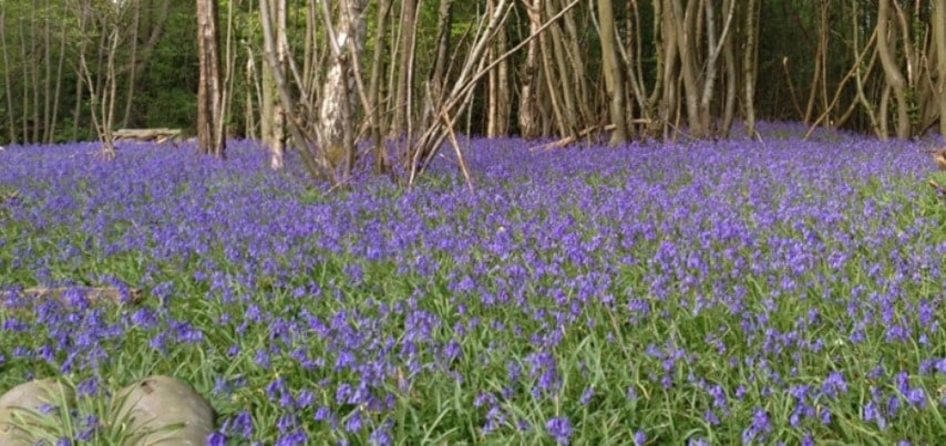 Deluxe Wine Tasting Tour for Two in East Sussex Gift Vouchers £75