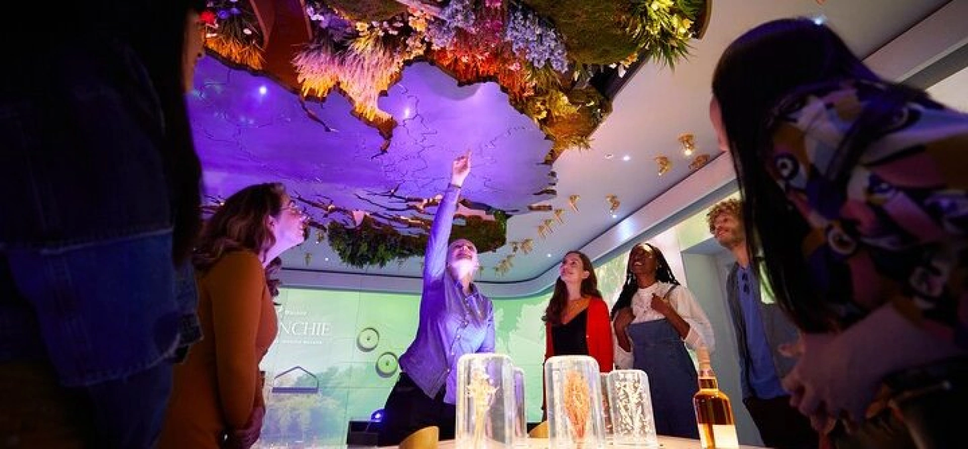 Edinburgh Full Day Whiskey Tour and Tasting with Lunch and Cocktails