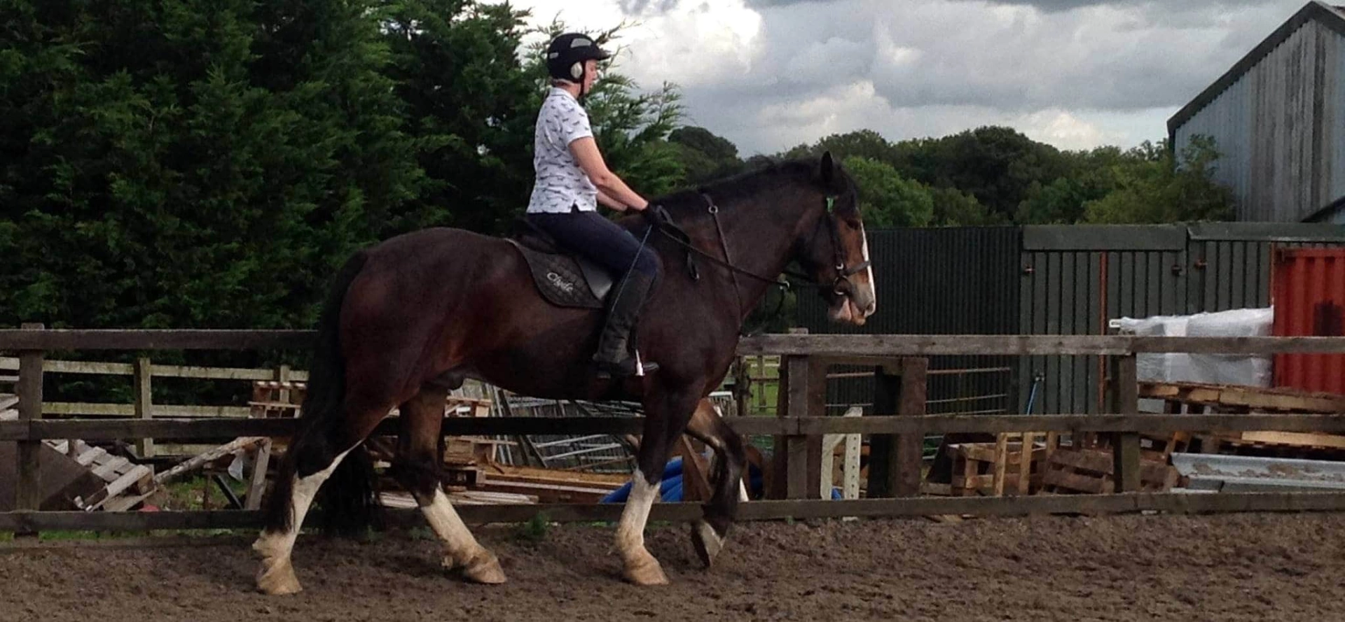 Hampshire Advanced Horseback Riding Lesson Gift Vouchers £75 for 1