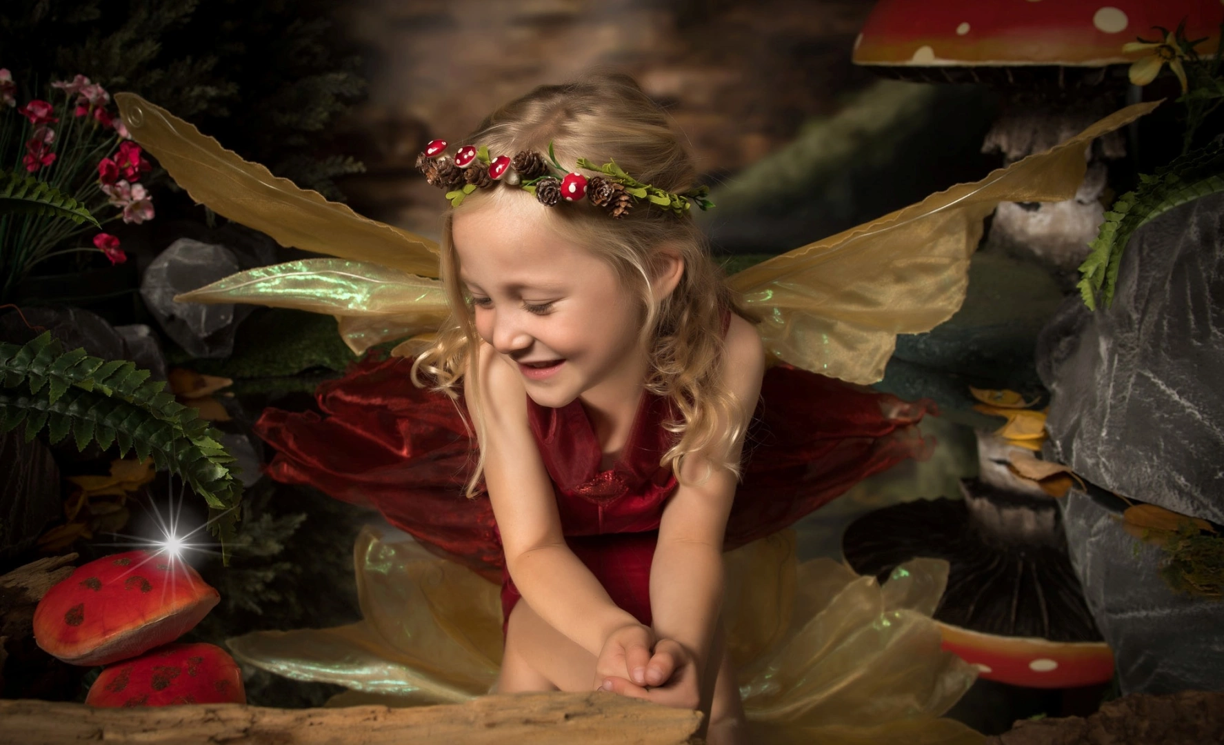 Southampton Fairy And Elf Photoshoot Experience Gift Vouchers £20 for 1
